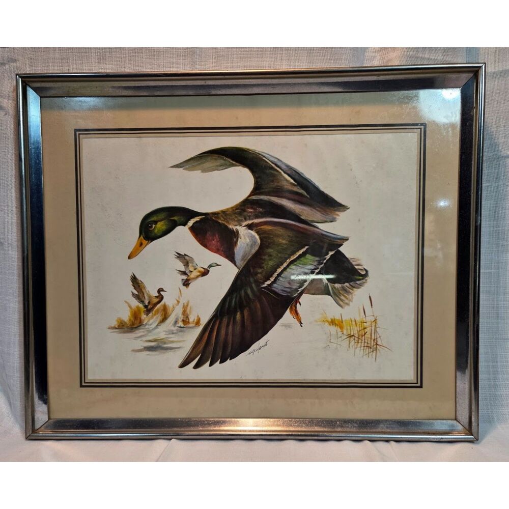 Vintage R.F. Harnett Mallard Duck Waterfowl Print Framed 20x16